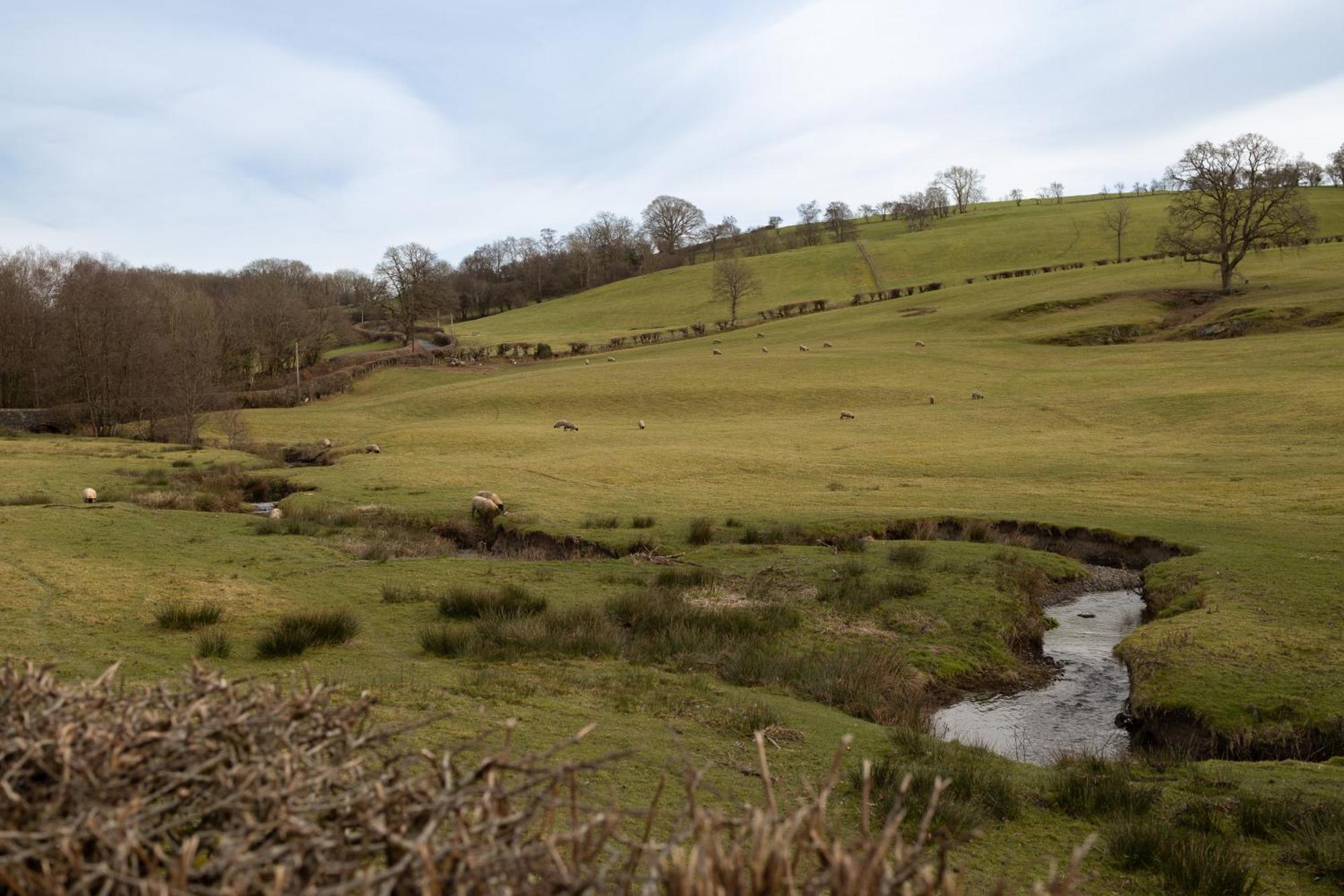 Brecon Beacons Cottage With Stunning Country Views Myddfai Kültér fotó