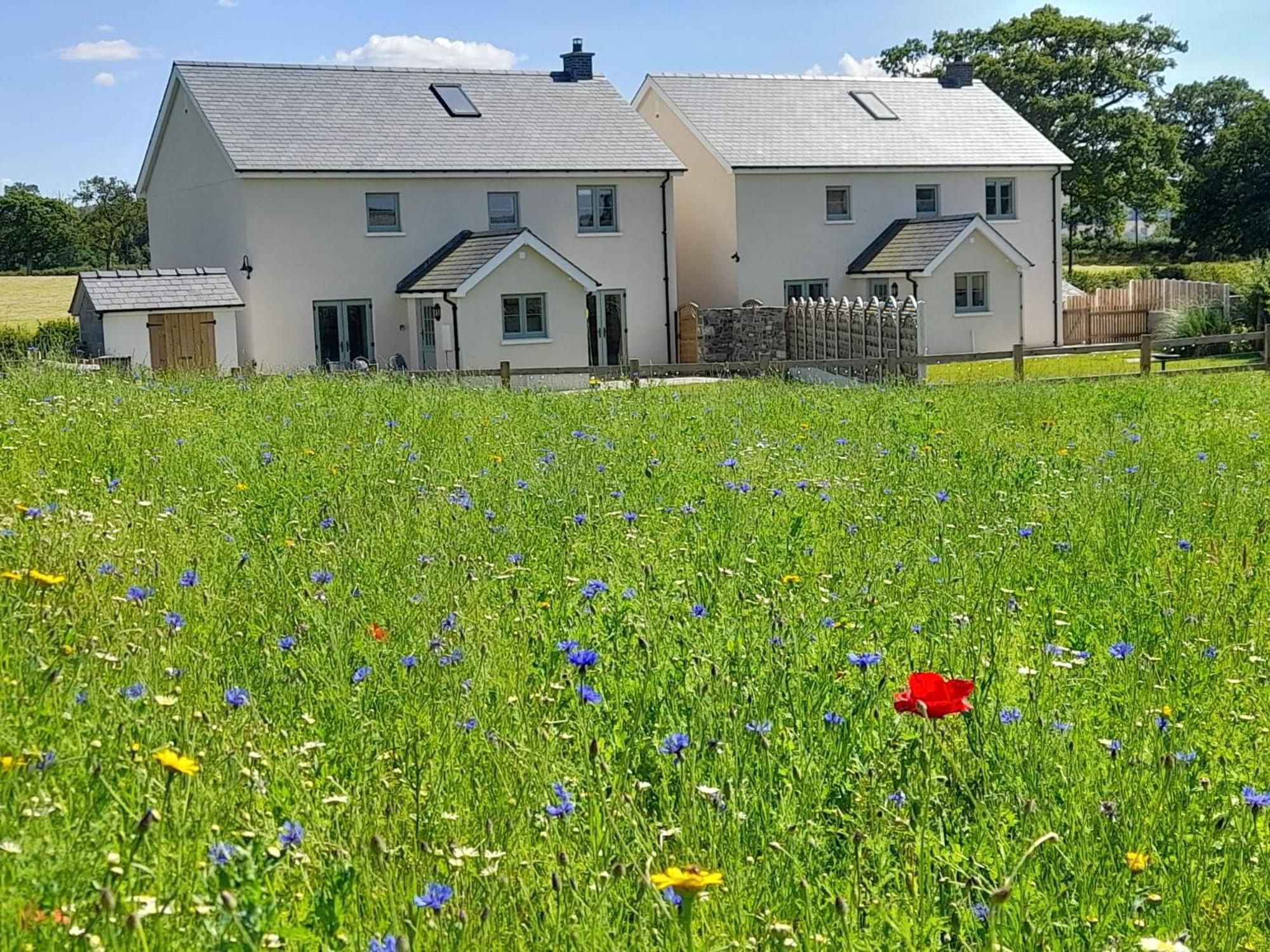 Brecon Beacons Cottage With Stunning Country Views Myddfai Kültér fotó